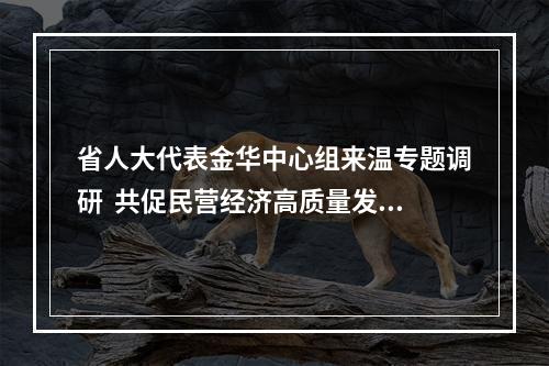 省人大代表金华中心组来温专题调研  共促民营经济高质量发展