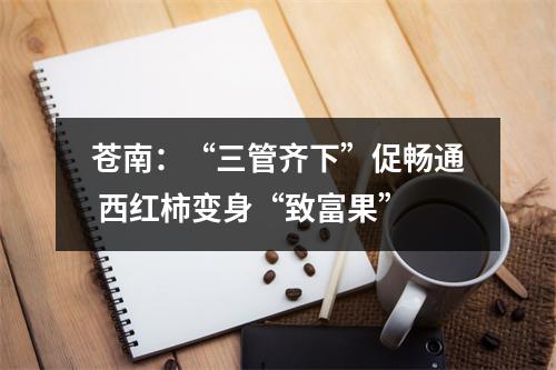 苍南：“三管齐下”促畅通 西红柿变身“致富果”