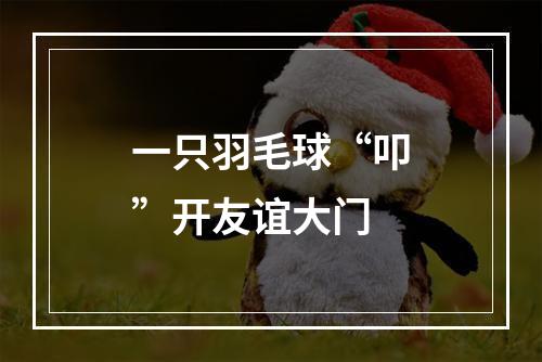 一只羽毛球“叩”开友谊大门