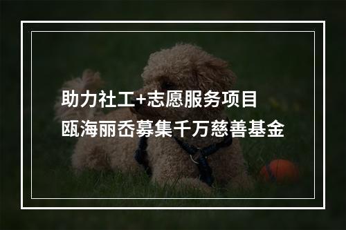 助力社工+志愿服务项目 瓯海丽岙募集千万慈善基金