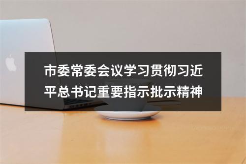 市委常委会议学习贯彻习近平总书记重要指示批示精神