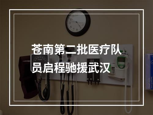 苍南第二批医疗队员启程驰援武汉