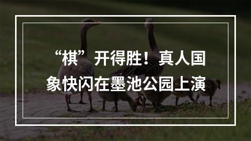 “棋”开得胜！真人国象快闪在墨池公园上演