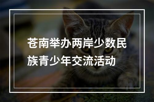 苍南举办两岸少数民族青少年交流活动