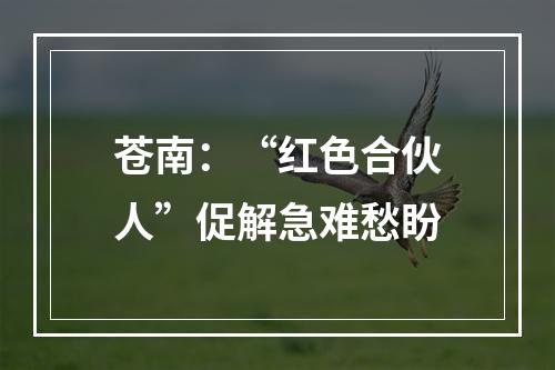 苍南：“红色合伙人”促解急难愁盼
