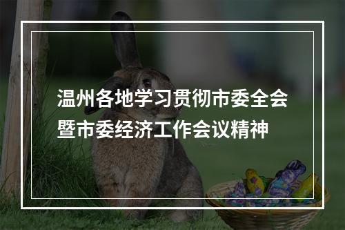 温州各地学习贯彻市委全会暨市委经济工作会议精神