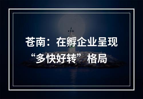 苍南：在孵企业呈现“多快好转”格局