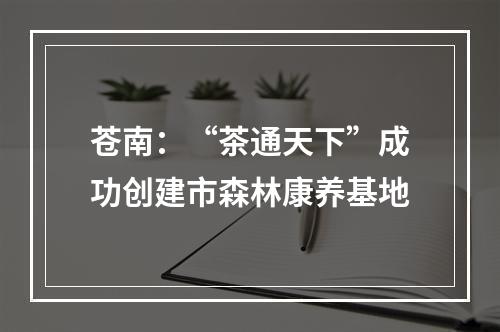 苍南：“茶通天下”成功创建市森林康养基地