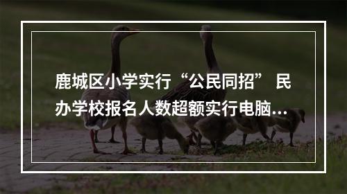 鹿城区小学实行“公民同招” 民办学校报名人数超额实行电脑派位