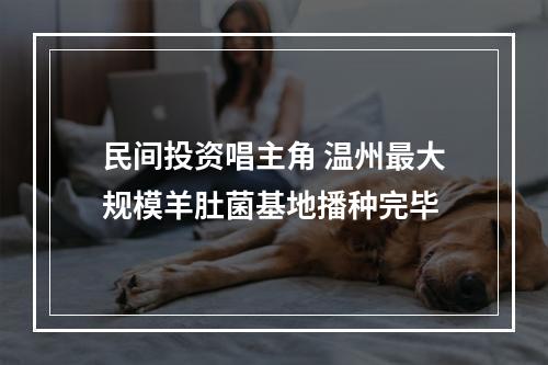 民间投资唱主角 温州最大规模羊肚菌基地播种完毕