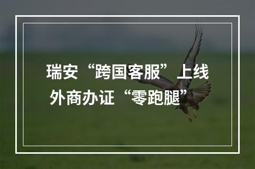 瑞安“跨国客服”上线 外商办证“零跑腿”
