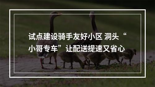 试点建设骑手友好小区 洞头“小哥专车”让配送提速又省心