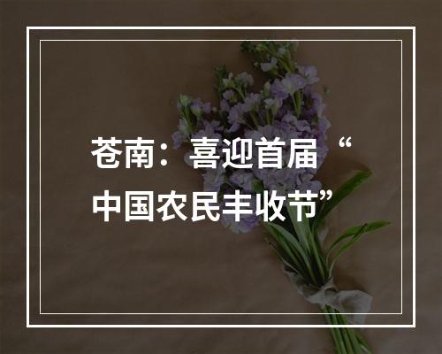 苍南：喜迎首届“中国农民丰收节”