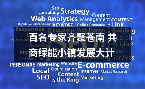 百名专家齐聚苍南 共商绿能小镇发展大计