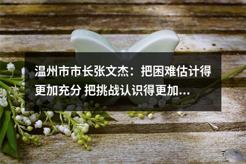 温州市市长张文杰：把困难估计得更加充分 把挑战认识得更加到位