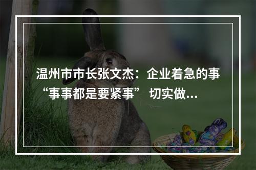 温州市市长张文杰：企业着急的事“事事都是要紧事” 切实做到政企“一条心、一起拼”