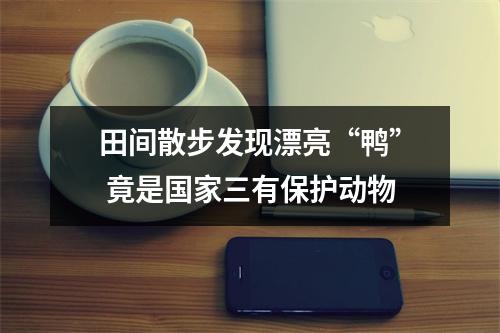田间散步发现漂亮“鸭” 竟是国家三有保护动物
