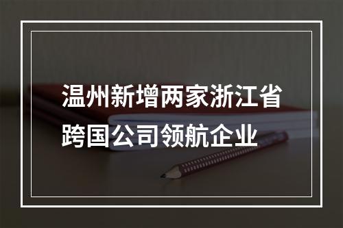 温州新增两家浙江省跨国公司领航企业