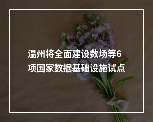 温州将全面建设数场等6项国家数据基础设施试点