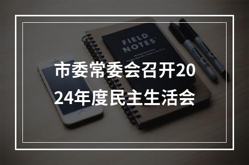 市委常委会召开2024年度民主生活会