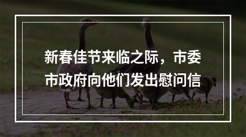 新春佳节来临之际，市委市政府向他们发出慰问信