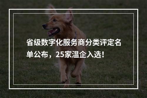 省级数字化服务商分类评定名单公布，25家温企入选！
