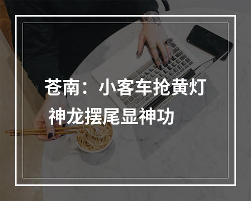 苍南：小客车抢黄灯 神龙摆尾显神功