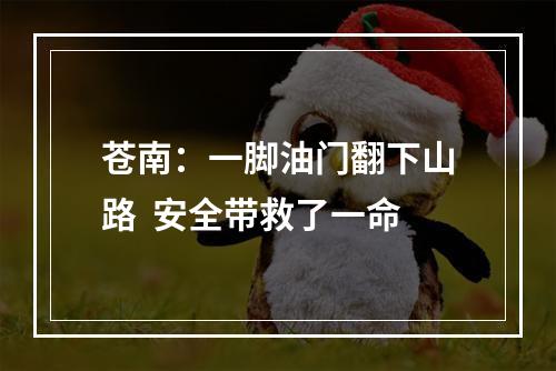 苍南：一脚油门翻下山路  安全带救了一命