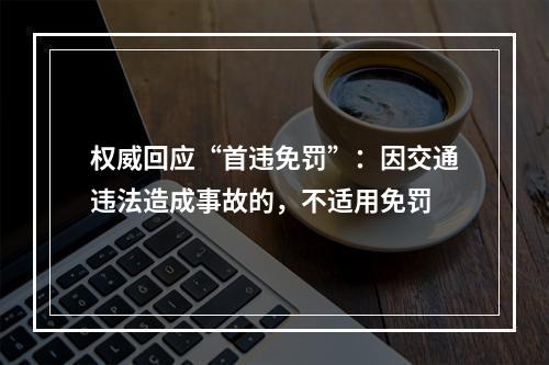权威回应“首违免罚”：因交通违法造成事故的，不适用免罚