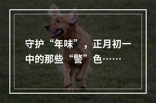 守护“年味”，正月初一中的那些“警”色……