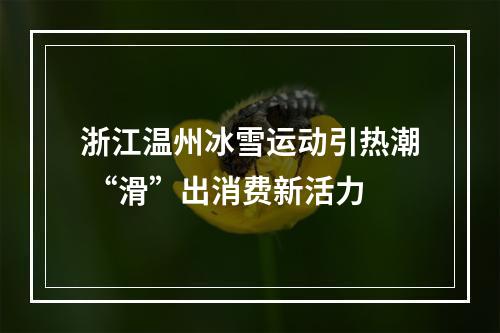 浙江温州冰雪运动引热潮 “滑”出消费新活力