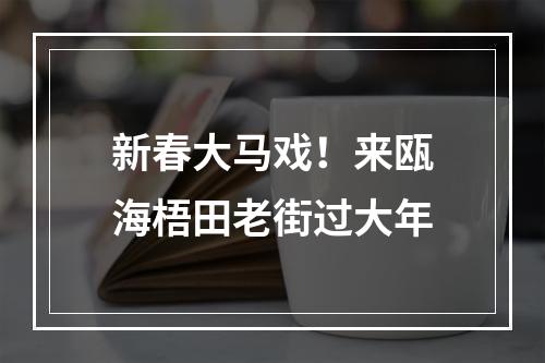 新春大马戏！来瓯海梧田老街过大年