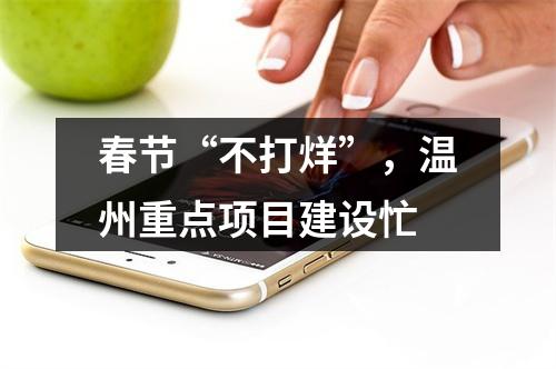 春节“不打烊”，温州重点项目建设忙