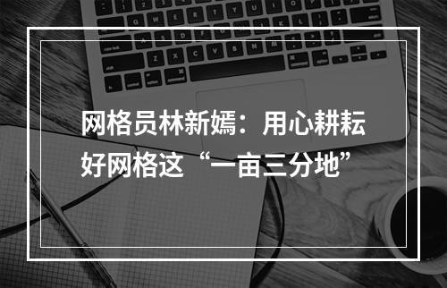 网格员林新嫣：用心耕耘好网格这“一亩三分地”