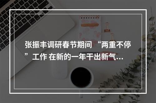 张振丰调研春节期间 “两重不停”工作 在新的一年干出新气象