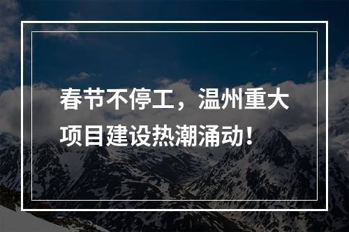 春节不停工，温州重大项目建设热潮涌动！