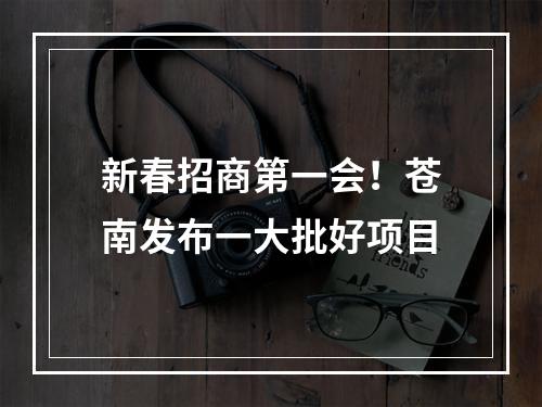 新春招商第一会！苍南发布一大批好项目
