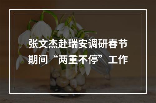 张文杰赴瑞安调研春节期间“两重不停”工作