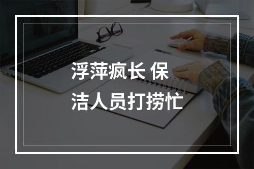 浮萍疯长 保洁人员打捞忙