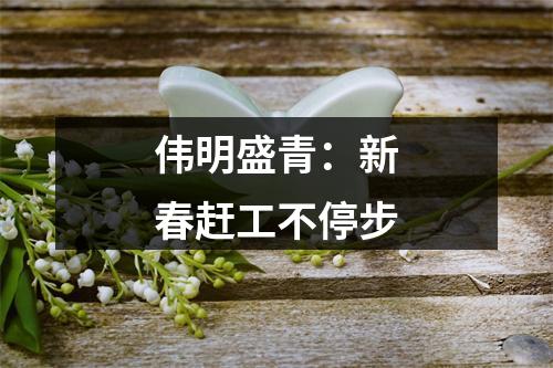 伟明盛青：新春赶工不停步