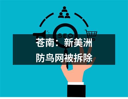 苍南：新美洲防鸟网被拆除