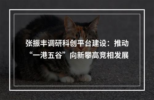 张振丰调研科创平台建设：推动“一港五谷”向新攀高竞相发展