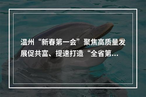 温州“新春第一会”聚焦高质量发展促共富、提速打造“全省第三极”