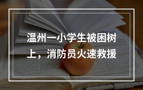温州一小学生被困树上，消防员火速救援