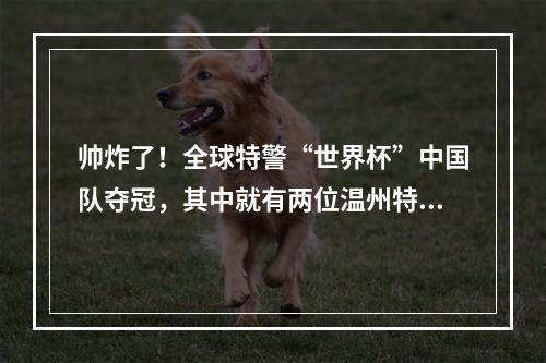 帅炸了！全球特警“世界杯”中国队夺冠，其中就有两位温州特警