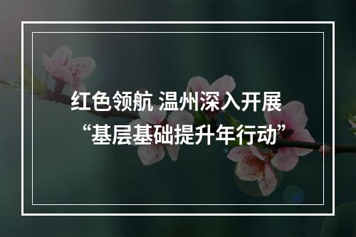 红色领航 温州深入开展“基层基础提升年行动”