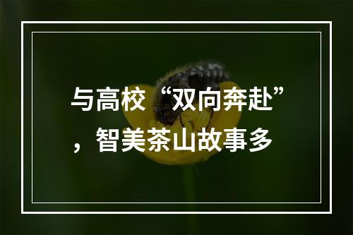 与高校“双向奔赴”，智美茶山故事多