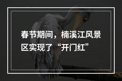 春节期间，楠溪江风景区实现了“开门红”