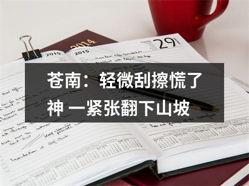 苍南：轻微刮擦慌了神 一紧张翻下山坡