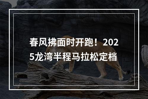 春风拂面时开跑！2025龙湾半程马拉松定档